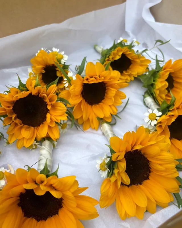 Sunflower buttonholes